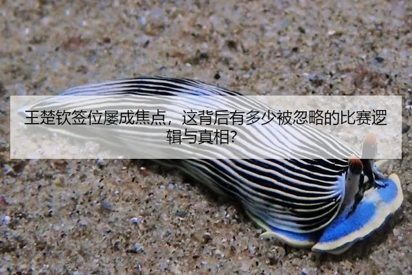 wang-chu-qin-qian-wei-lv-cheng-jiao-dian-zhe-bei-hou-you-duo-shao-bei-hu-lve-de-bi-sai-luo-ji-yu-zhen-xiang-1-909.jpg